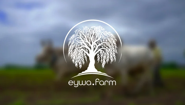 Symbolic tree logo design for eywa.farm, designed by Swaragh Technologies, the best logo designing company in Bangalore.
