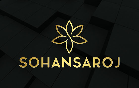Logo of Sohansaroj