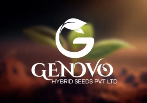 Logo of Genovo Hybrid Seed Company