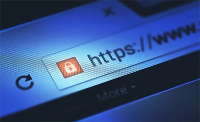 Robust Security Measures by Swaragh